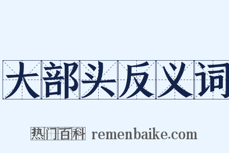 大部头反义词是什么意思的图片